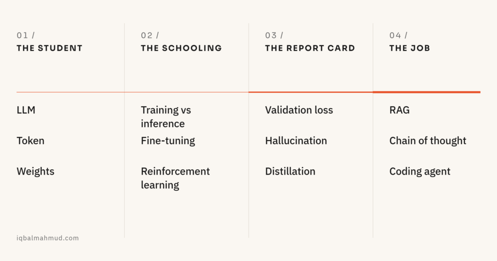 Diagram of 12 AI terms explained as four stages — anatomy, education, assessment and work